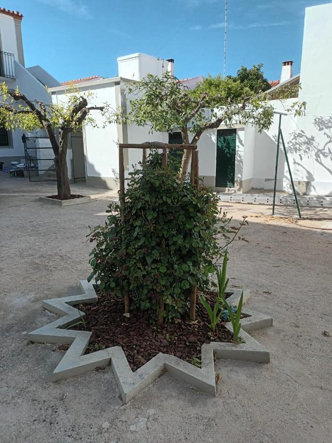 Ferienwohnung Casa Morais Pinto Reguengos de Monsaraz Exterior foto